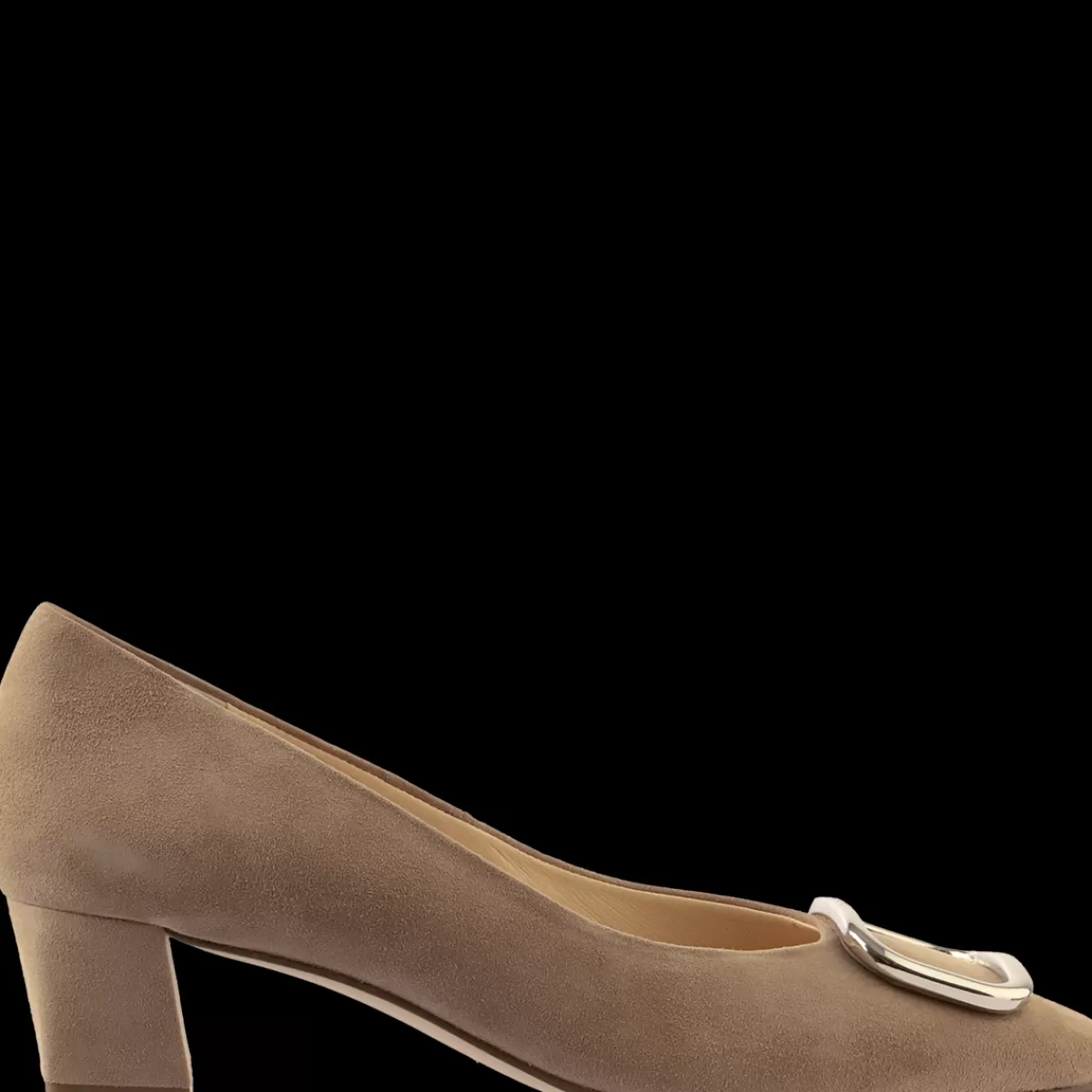 Cheap ANN Pumps Pumps
